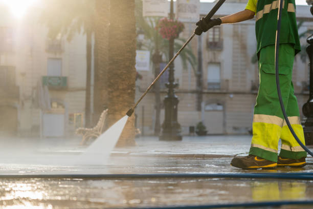 Best Sidewalk and Walkway Cleaning  in Lombard, IL